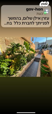 יגאל אלון 33