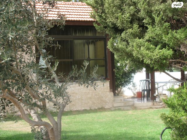 הרימון 51
