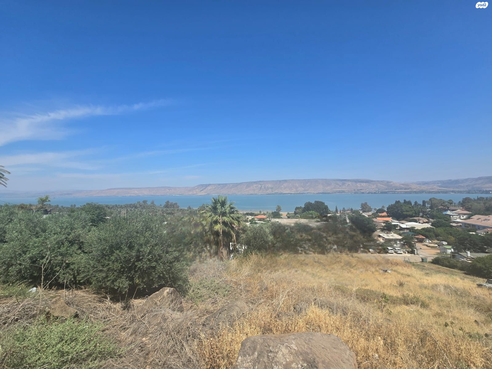 כינרת מושבה