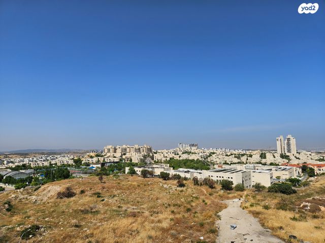 יגאל ידין 