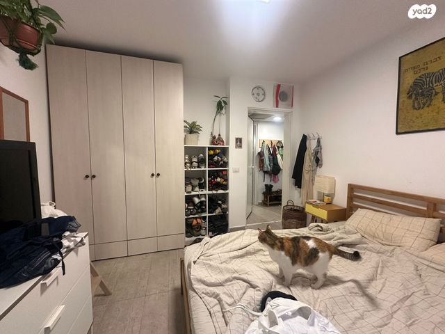 דירת גן, החלוצים, תל אביב יפו