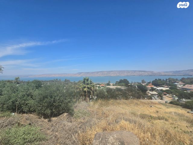 המייסדים 