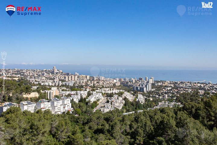 התאנה 11