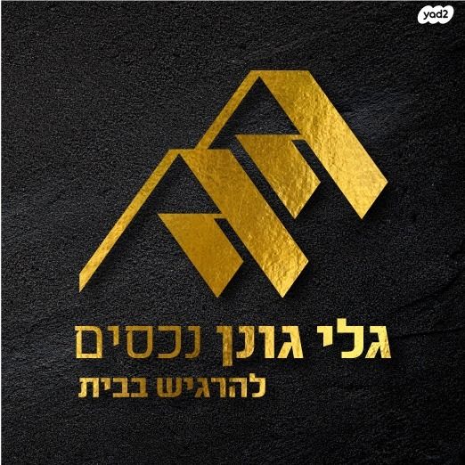 יגאל ידין 