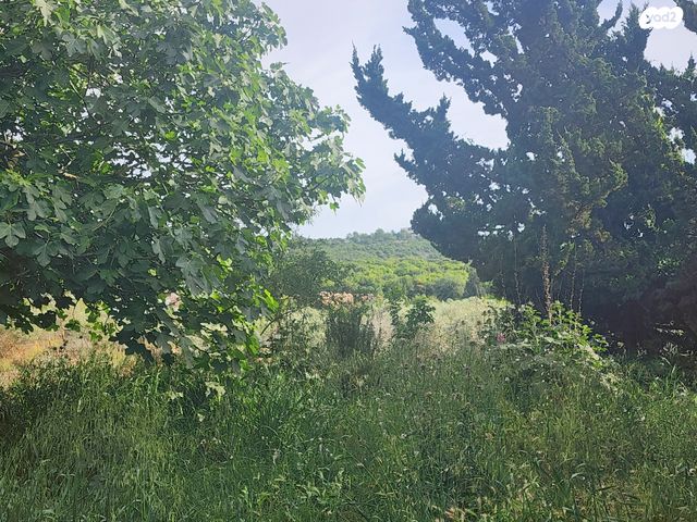 בית פרטי/ קוטג', כפר ורדים