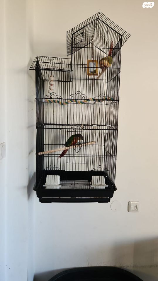 אביזרים | כלוב האכלת יד