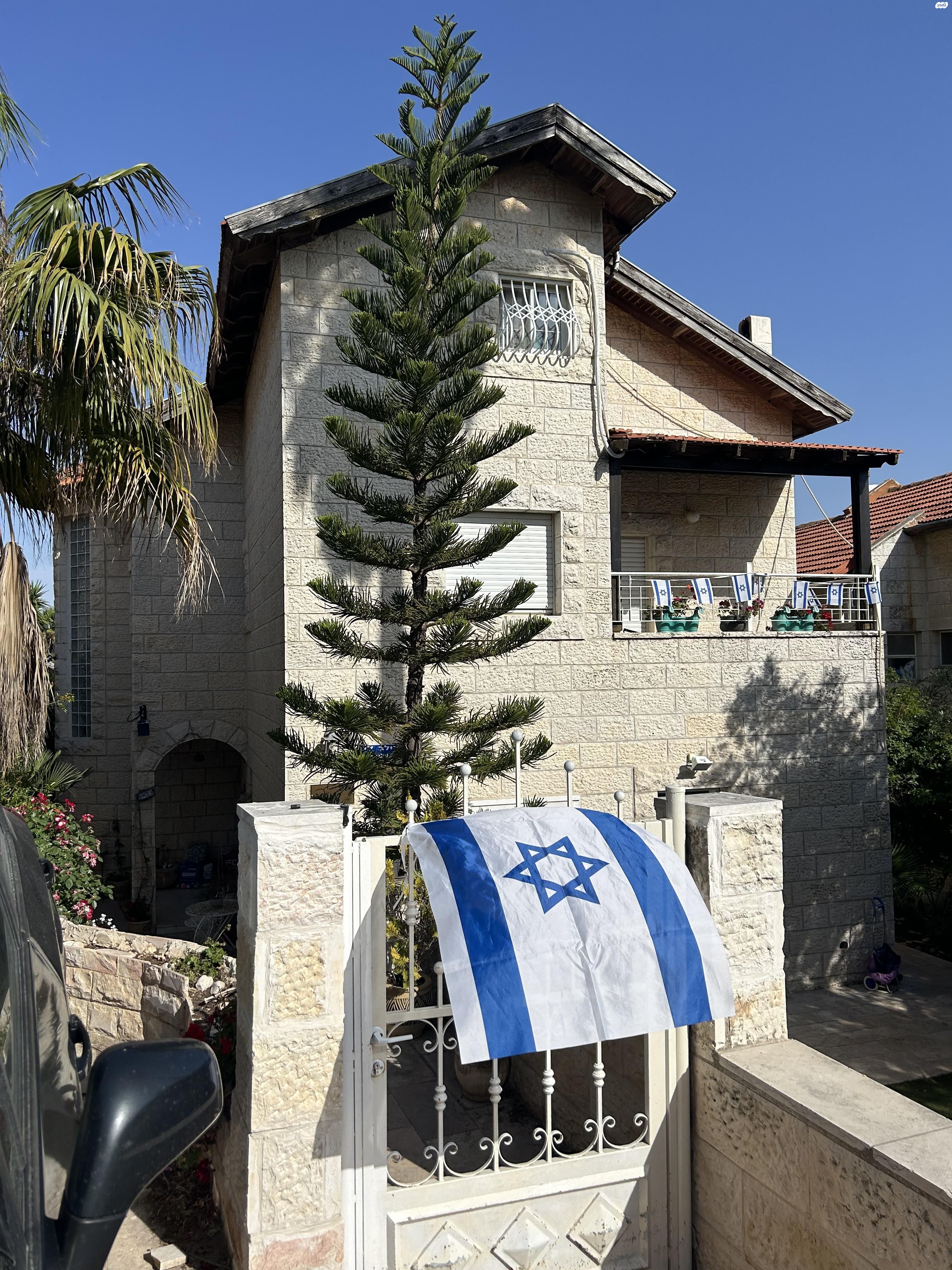 הדולב 17
