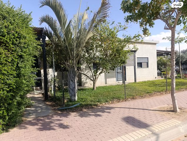 צאלים 