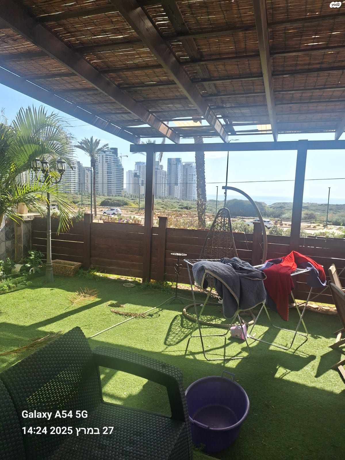 אירוס הארגמן 43