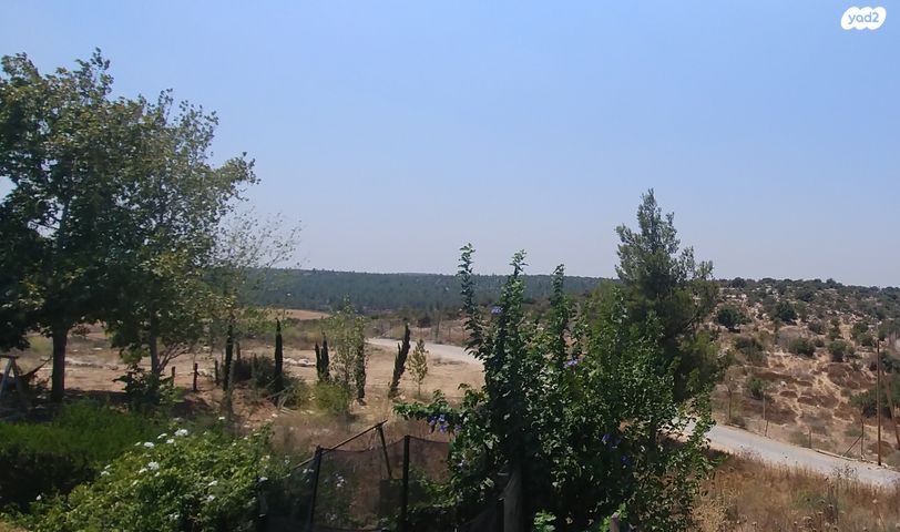 בית פרטי/ קוטג', אדרת