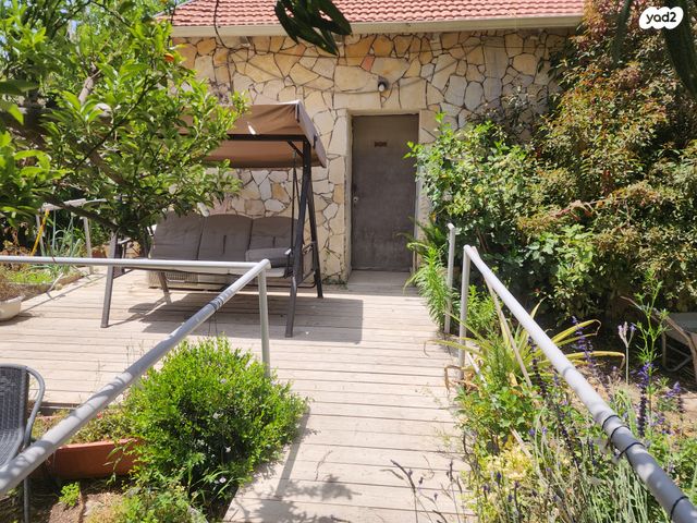 הגאון 31