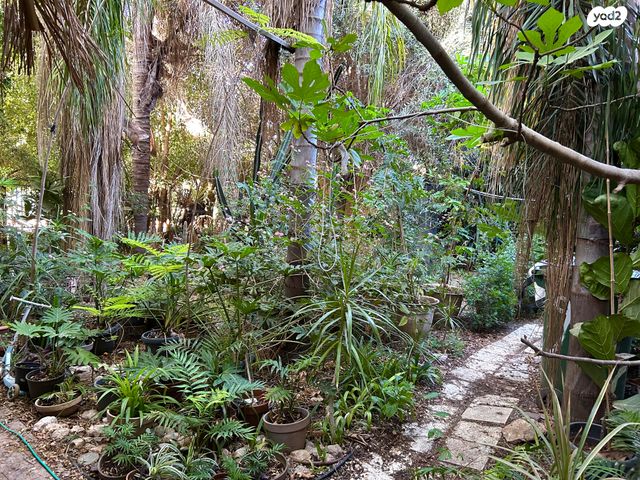 בית פרטי/ קוטג', בית עוזיאל