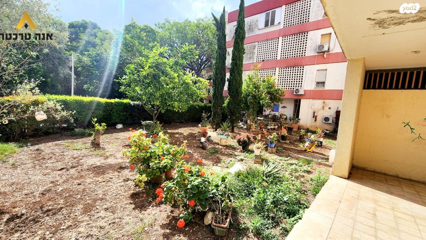 דירה, משגב, מגדים, כרמיאל