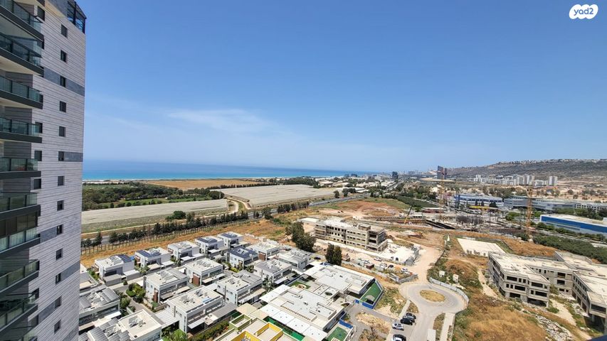 דירה, דולפין, גלי כרמל, טירת כרמל