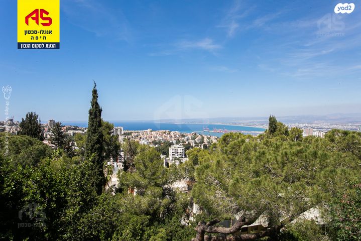 דירה, אלברט איינשטיין, אחוזה, חיפה