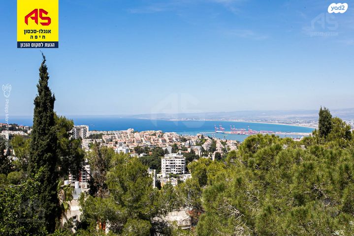 דירה, אלברט איינשטיין, אחוזה, חיפה