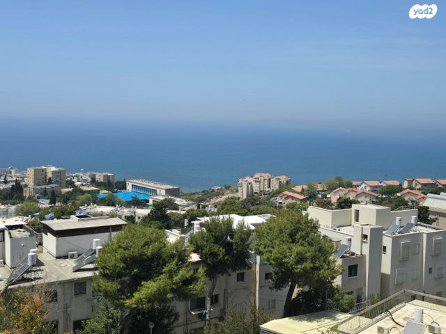 דירה, סטפן וייז, רמת שאול, חיפה