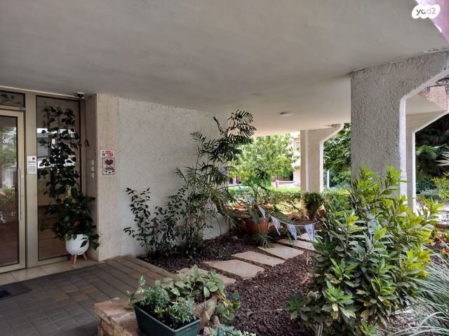 דירה, מרכז, כפר סבא