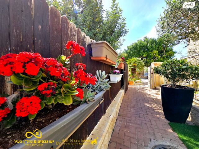 דירת גן, הרכס, נופי סלע, מעלה אדומים