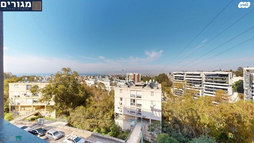 זלמן שניאור 