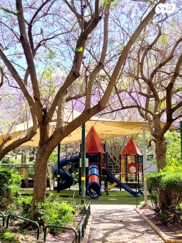 דירה, הקוקיה, נווה הדרים, ראשון לציון