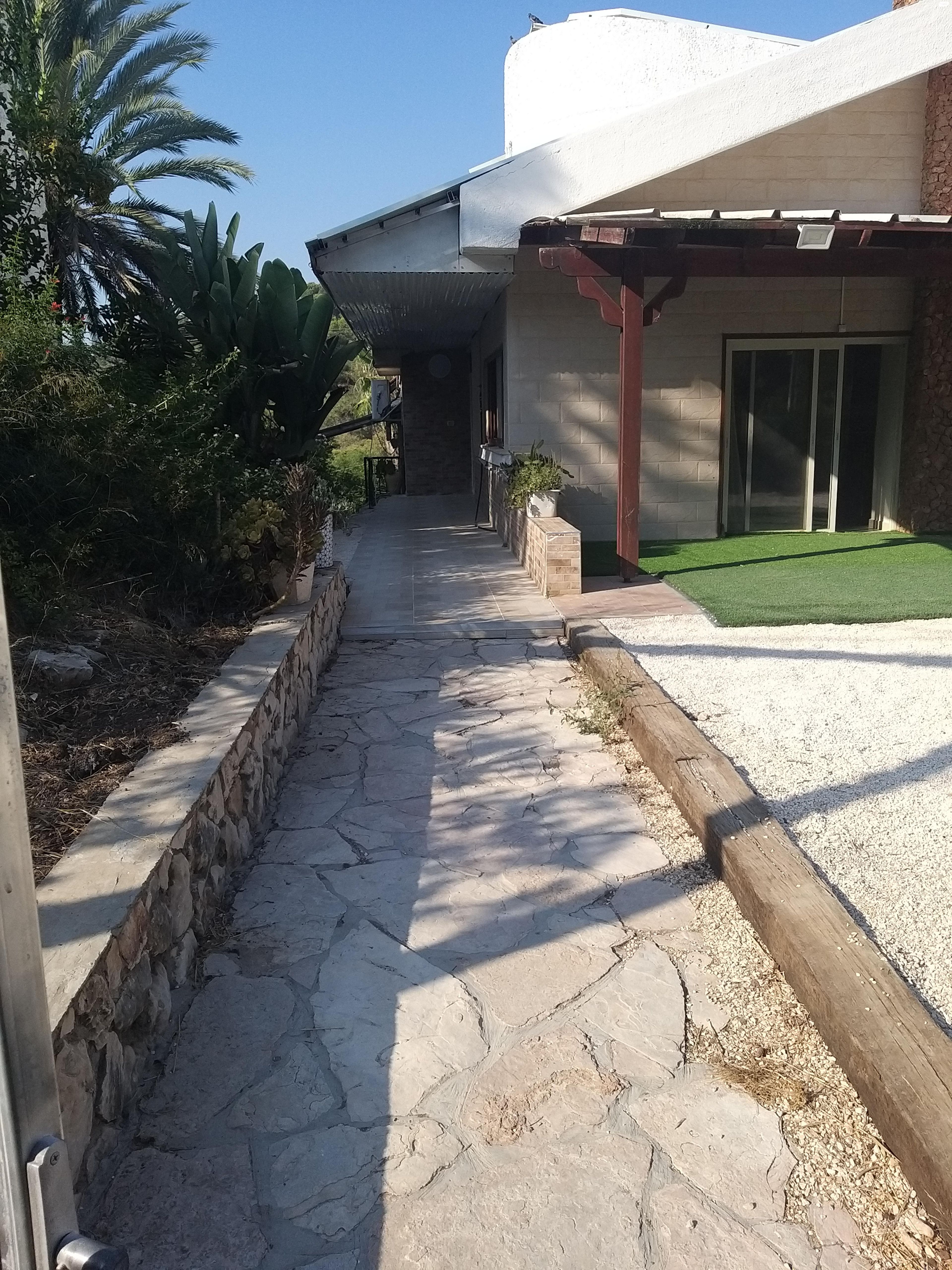 שקנאי 19