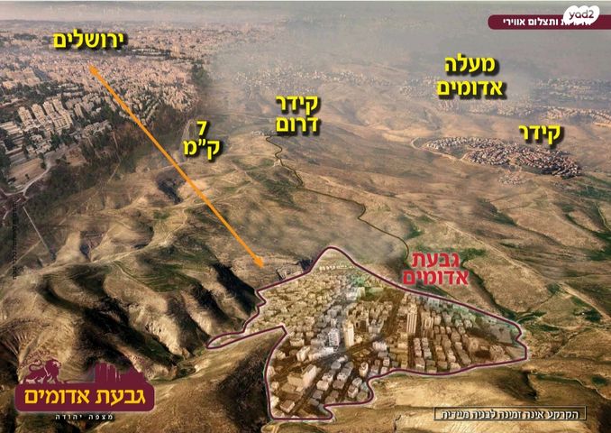 אור 1