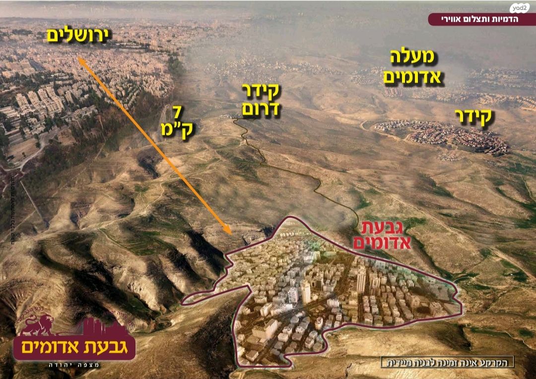 אור 1