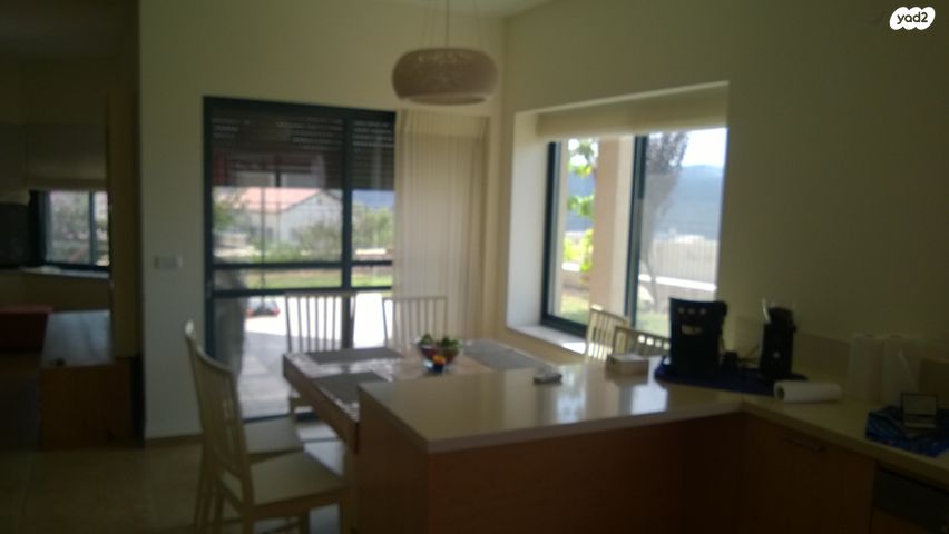 בית פרטי/ קוטג', שורשים