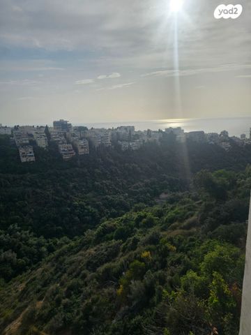 דירה, עובדיה, רמת התשבי, חיפה