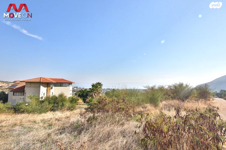 מגרשים, המייסדים 1, מגדל, מגדל