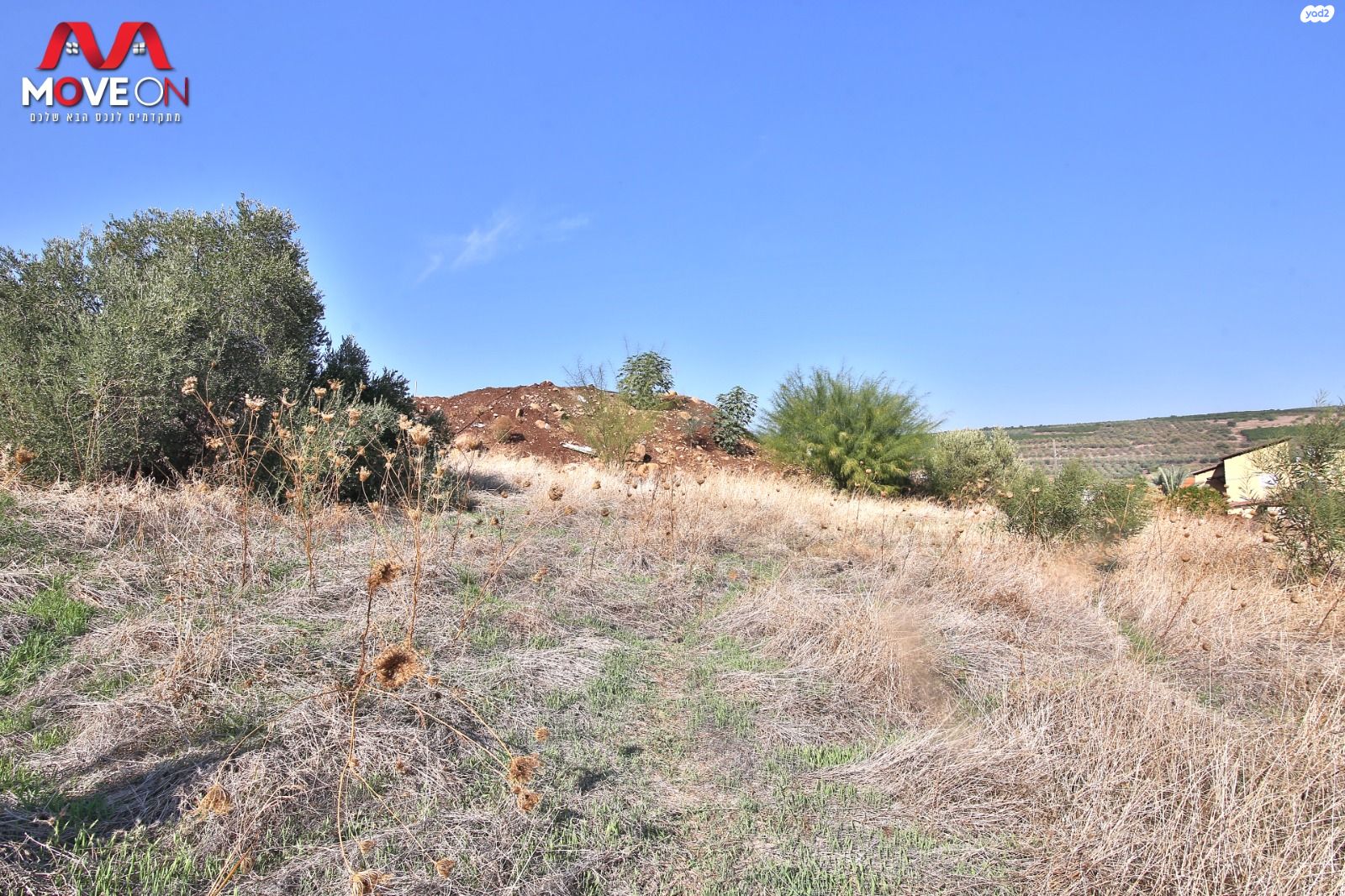 המייסדים 