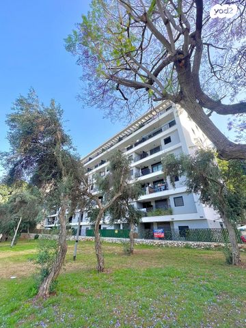 מעפילי אגוז 84