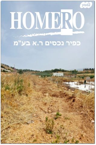 מגרשים