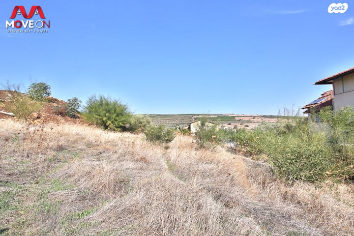 מגרשים, המייסדים 1, מגדל, מגדל