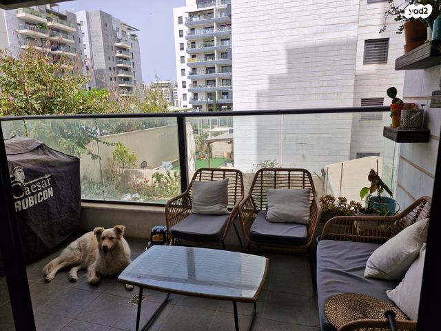 דירה, הקרן, הרצליה