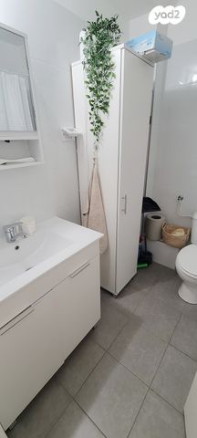 דירה, דפנה, סיגליות, באר שבע