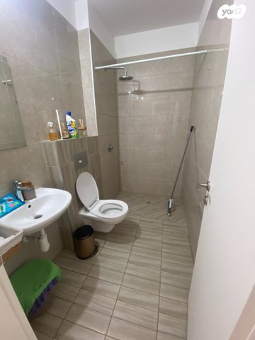 דירה, כלנית, נתיבות