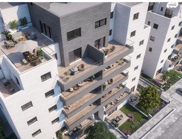 טריפלקס, צופים, צופים