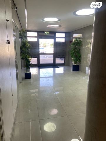 דירה, כלנית, נתיבות