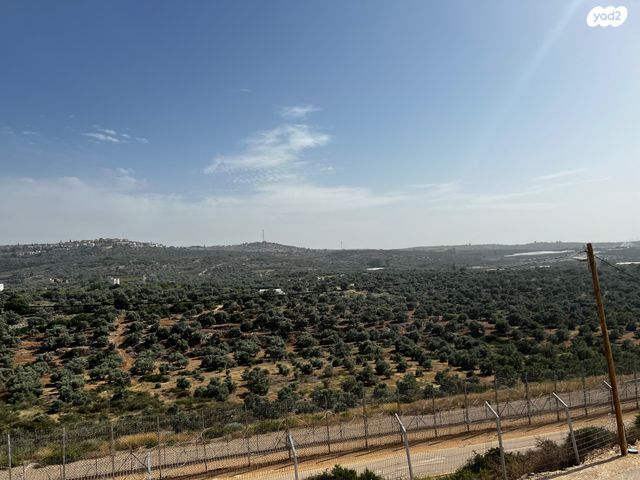 טריפלקס, צופים, צופים