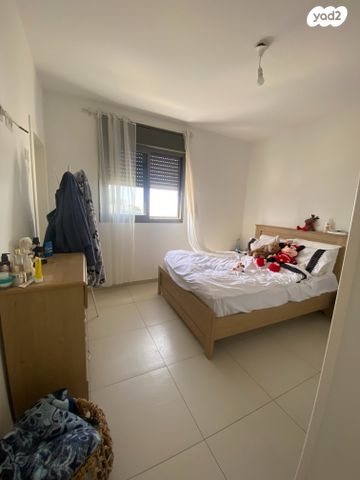 דירה, כלנית, נתיבות