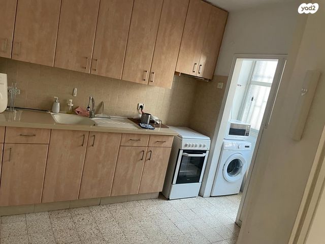 יהושע חנקין 