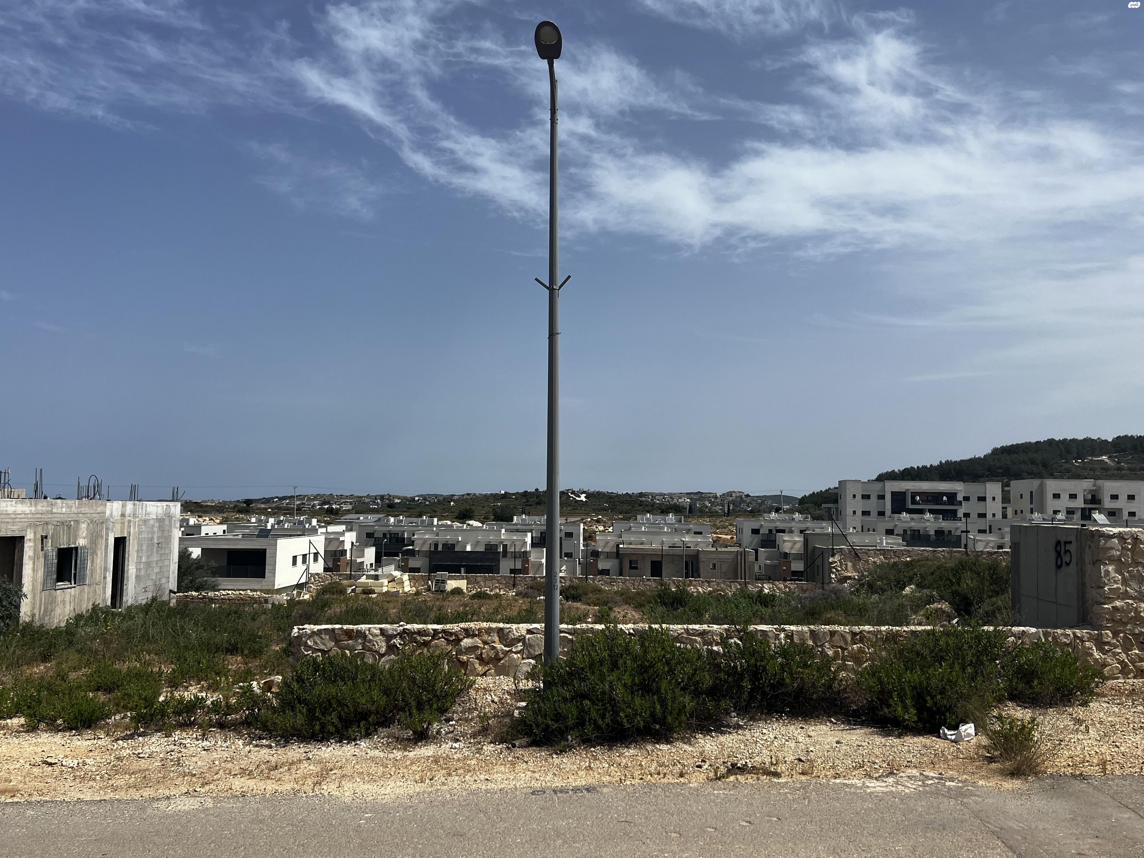 הכנרת 1