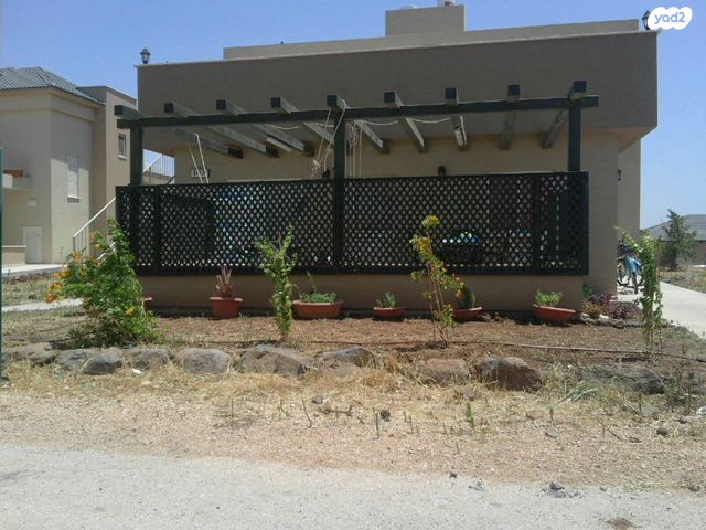 הזית 1