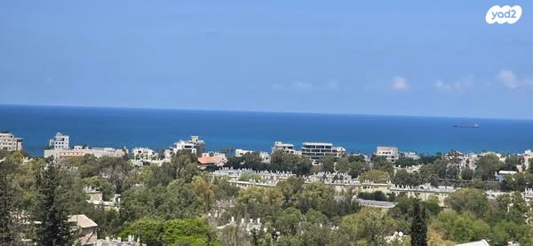 דופלקס, הרב אברהם כלפון, קרית אליעזר, חיפה