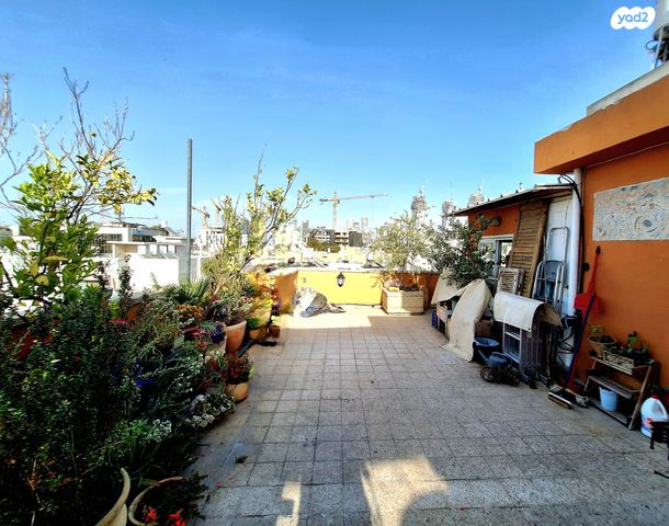 דירה, עין גדי, הצפון הישן - צפון, תל אביב יפו