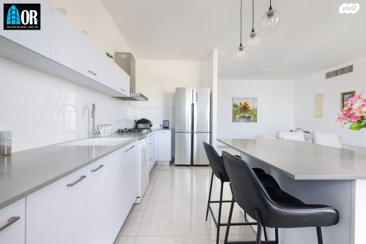 דירה, שאול המלך, יד אליעזר, נס ציונה