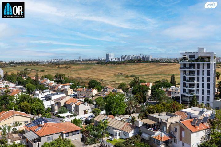 דירה, שאול המלך, יד אליעזר, נס ציונה