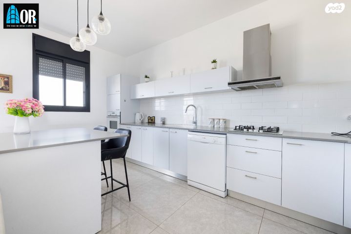 דירה, שאול המלך, יד אליעזר, נס ציונה